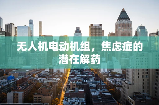 无人机电动机组，焦虑症的潜在解药