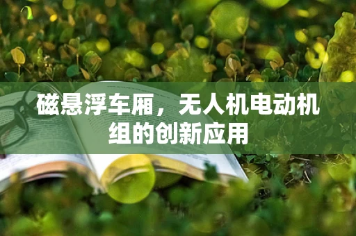 磁悬浮车厢，无人机电动机组的创新应用