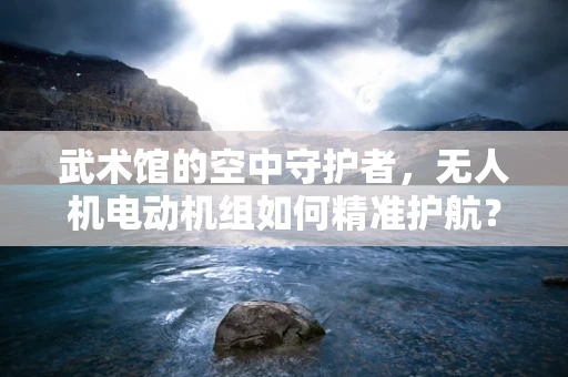 武术馆的空中守护者，无人机电动机组如何精准护航？