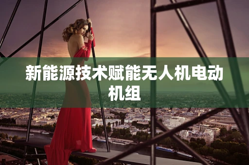 新能源技术赋能无人机电动机组