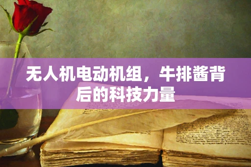 无人机电动机组，牛排酱背后的科技力量