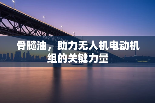 骨髓油，助力无人机电动机组的关键力量