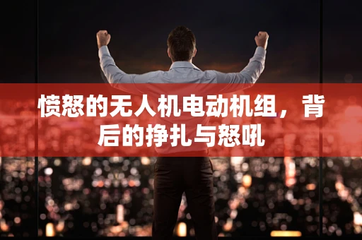 愤怒的无人机电动机组，背后的挣扎与怒吼