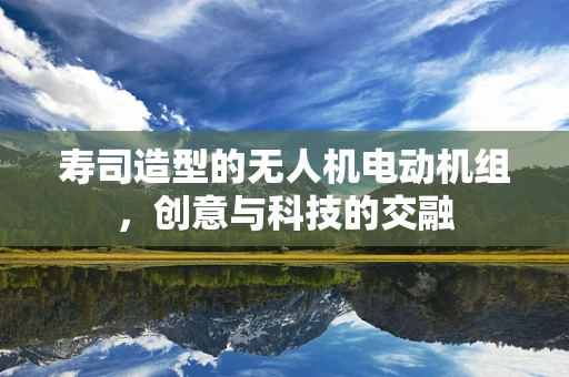 寿司造型的无人机电动机组，创意与科技的交融