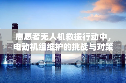 志愿者无人机救援行动中，电动机组维护的挑战与对策