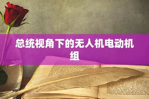 总统视角下的无人机电动机组