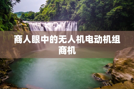 商人眼中的无人机电动机组商机