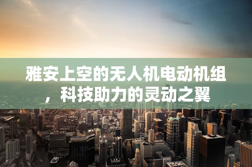 雅安上空的无人机电动机组，科技助力的灵动之翼