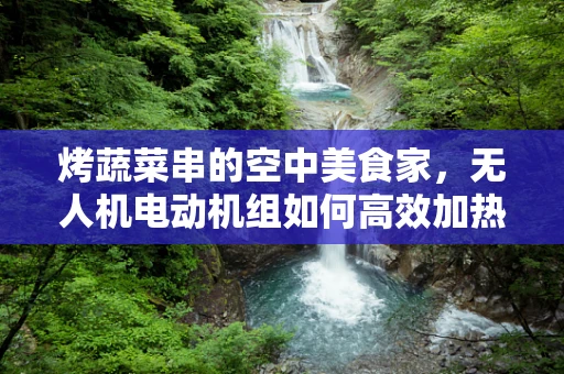 烤蔬菜串的空中美食家，无人机电动机组如何高效加热？