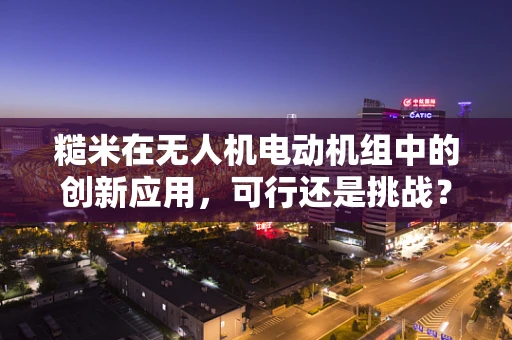 糙米在无人机电动机组中的创新应用，可行还是挑战？