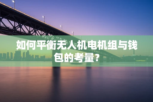 如何平衡无人机电机组与钱包的考量？