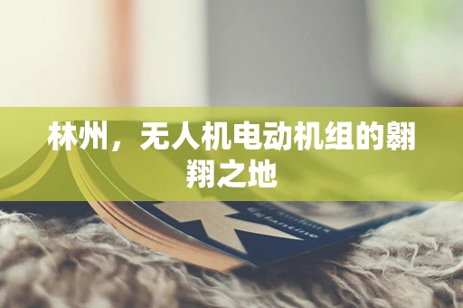 林州，无人机电动机组的翱翔之地