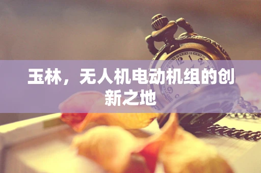 玉林，无人机电动机组的创新之地
