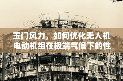 玉门风力，如何优化无人机电动机组在极端气候下的性能？