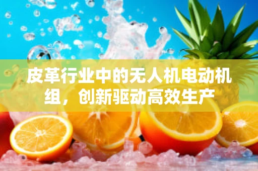 皮革行业中的无人机电动机组，创新驱动高效生产