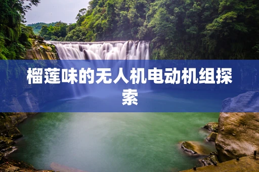 榴莲味的无人机电动机组探索
