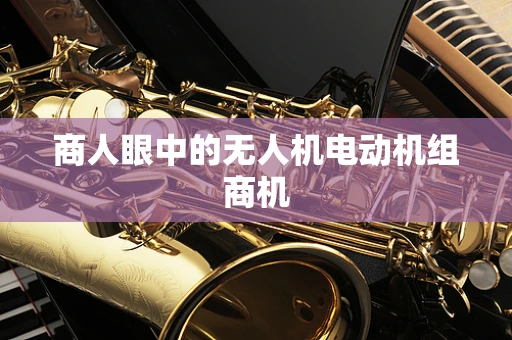 商人眼中的无人机电动机组商机