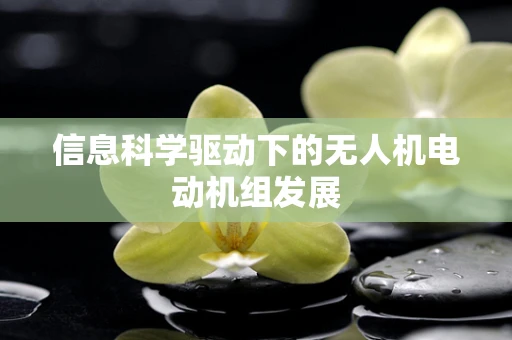 信息科学驱动下的无人机电动机组发展