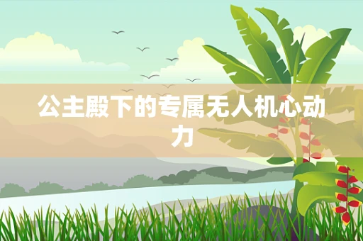 公主殿下的专属无人机心动力