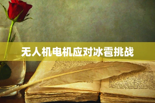 无人机电机应对冰雹挑战