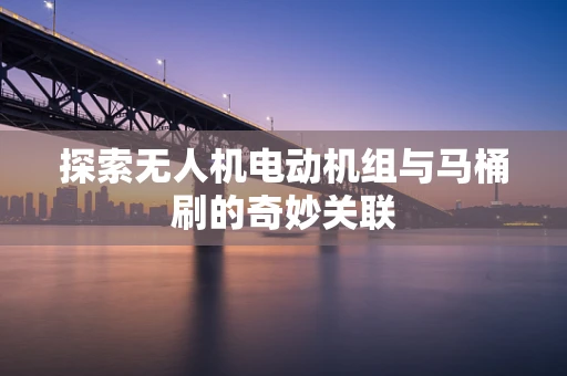 探索无人机电动机组与马桶刷的奇妙关联