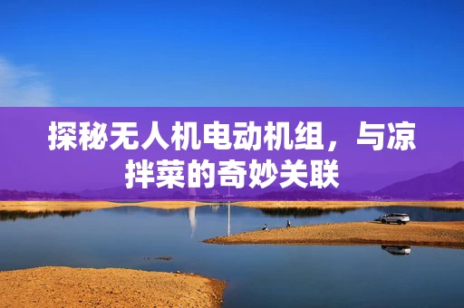 探秘无人机电动机组，与凉拌菜的奇妙关联