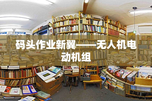 码头作业新翼——无人机电动机组