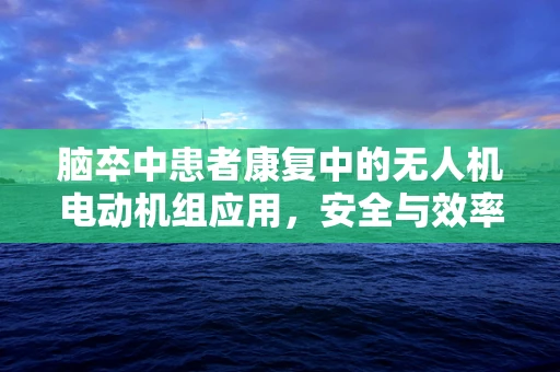 脑卒中患者康复中的无人机电动机组应用，安全与效率的平衡挑战