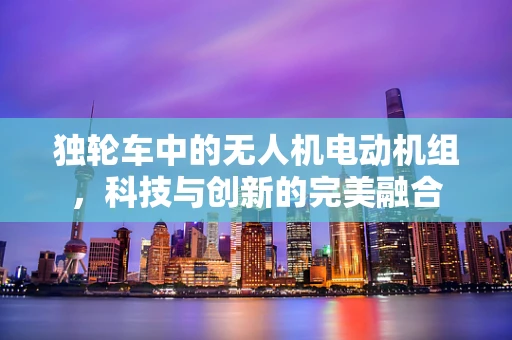 独轮车中的无人机电动机组，科技与创新的完美融合
