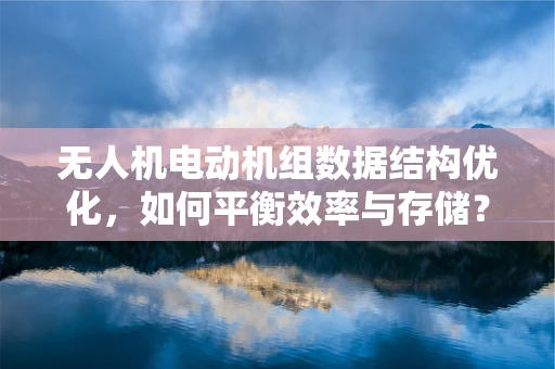 无人机电动机组数据结构优化，如何平衡效率与存储？