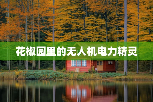 花椒园里的无人机电力精灵