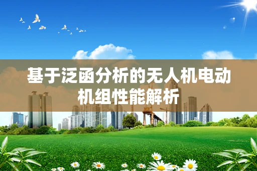 基于泛函分析的无人机电动机组性能解析