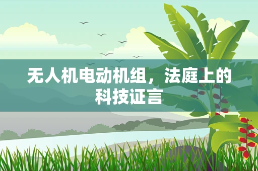无人机电动机组，法庭上的科技证言