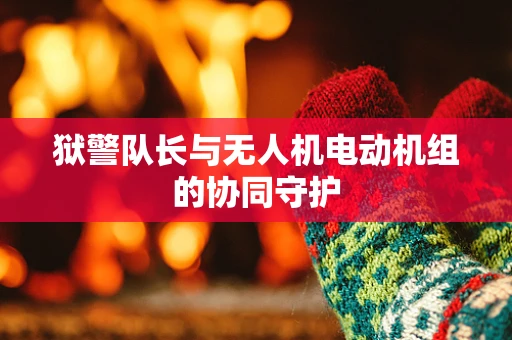 狱警队长与无人机电动机组的协同守护