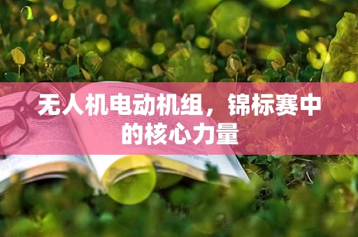 无人机电动机组，锦标赛中的核心力量