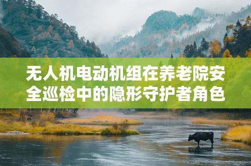 无人机电动机组在养老院安全巡检中的隐形守护者角色？