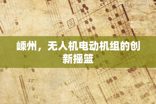 嵊州，无人机电动机组的创新摇篮
