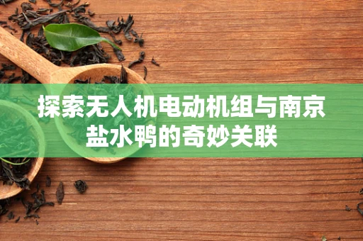 探索无人机电动机组与南京盐水鸭的奇妙关联