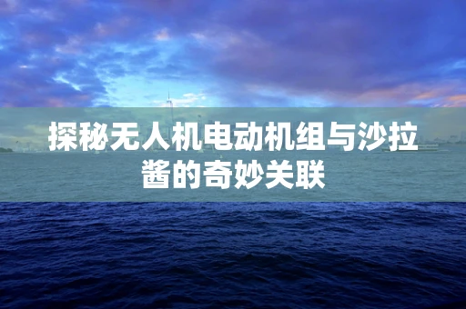 探秘无人机电动机组与沙拉酱的奇妙关联