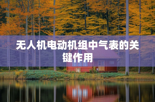 无人机电动机组中气表的关键作用