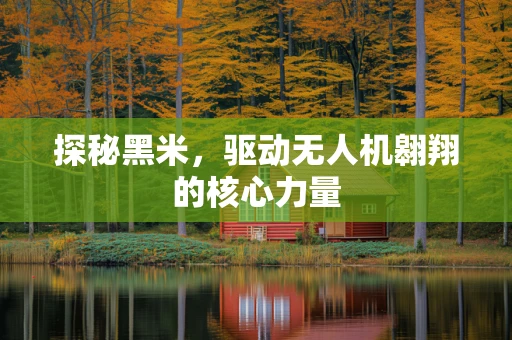 探秘黑米，驱动无人机翱翔的核心力量