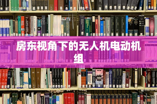 房东视角下的无人机电动机组