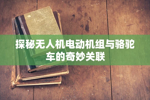探秘无人机电动机组与骆驼车的奇妙关联