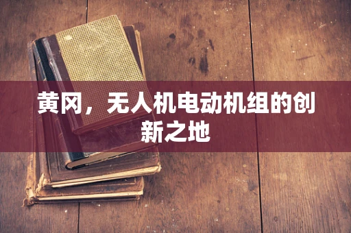 黄冈，无人机电动机组的创新之地
