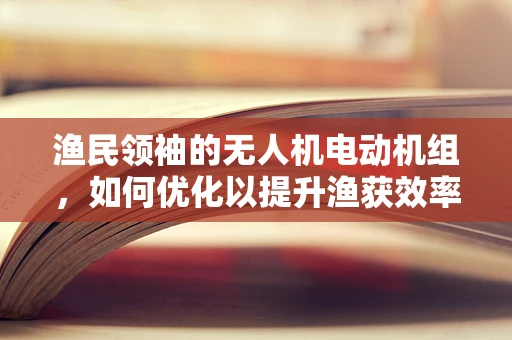 渔民领袖的无人机电动机组，如何优化以提升渔获效率？