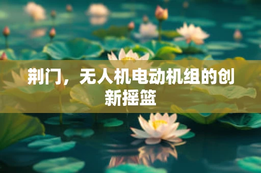 荆门，无人机电动机组的创新摇篮