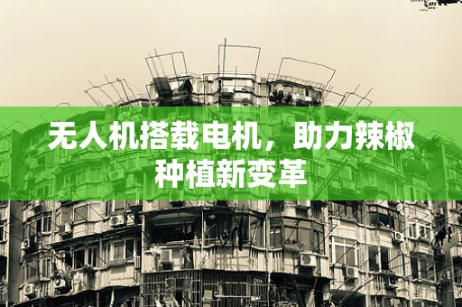 无人机搭载电机，助力辣椒种植新变革