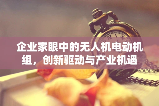 企业家眼中的无人机电动机组，创新驱动与产业机遇