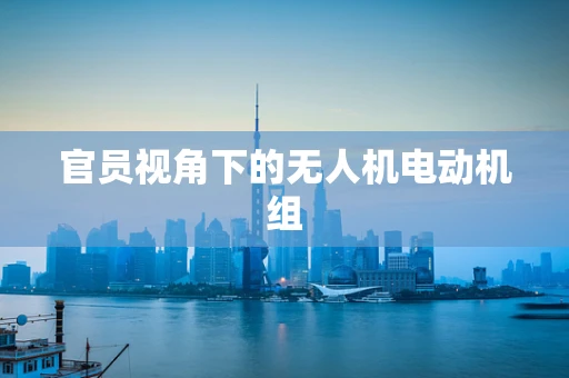 官员视角下的无人机电动机组