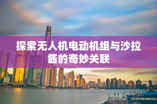 探索无人机电动机组与沙拉酱的奇妙关联
